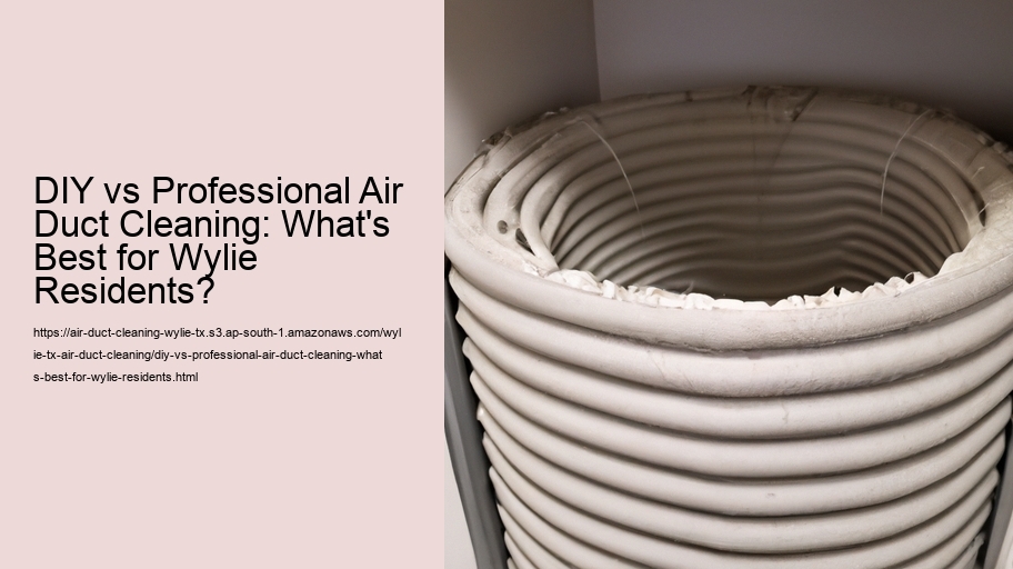 DIY vs Professional Air Duct Cleaning: What's Best for Wylie Residents?