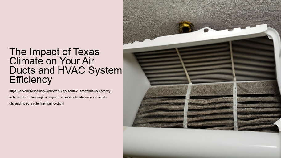The Impact of Texas Climate on Your Air Ducts and HVAC System Efficiency