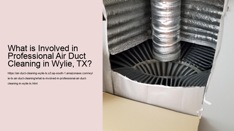 What is Involved in Professional Air Duct Cleaning in Wylie, TX?