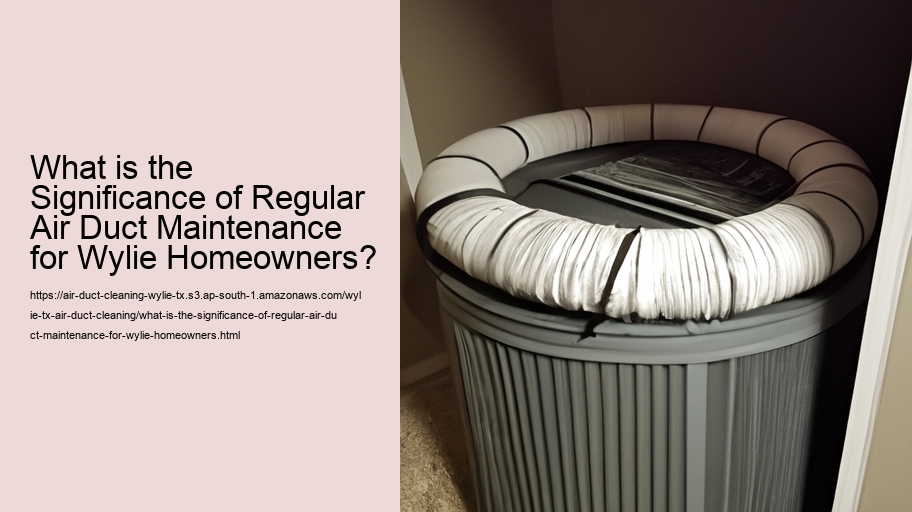 What is the Significance of Regular Air Duct Maintenance for Wylie Homeowners?